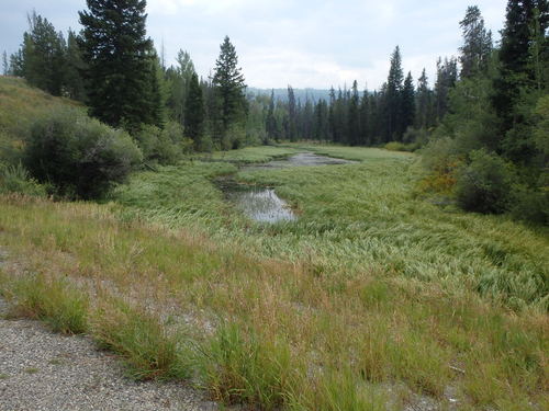 GDMBR: High altitude wet land.